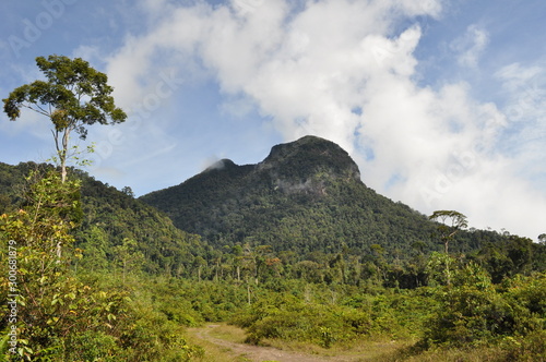 Miri, Sarawak / Malaysia - October 7, 2019: Amazing forest and river views in the misty sunrise hours photo