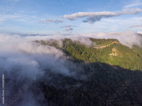 Amazing drone footage of beautiful nature deep rainforest jungle on Kundasang, Sabah, Malaysia.- Travel Concept © alenthien