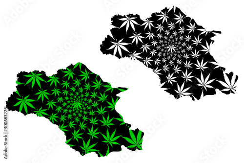 Gambela Region (Federal Democratic Republic of Ethiopia, Horn of Africa) map is designed cannabis leaf green and black, Gambela Peoples' Region map made of marijuana (marihuana,THC) foliage.... photo