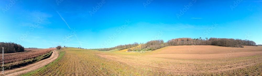 Panorama of agricultural field at sunny day