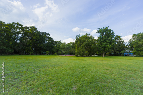 landscape of grass field and green environment public park use as natural background,backdrop