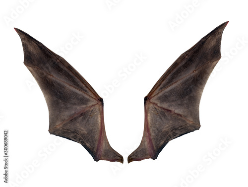 Fotobehang bat wings isolated on white.