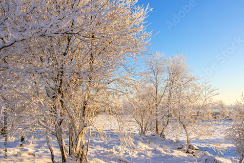 Wintry landscape with beautiful light