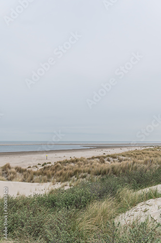 Fototapeta Naklejka Na Ścianę i Meble -   Dünenlandschaft am Strand mit Blick aufs Meer bei bewölkten Himmel