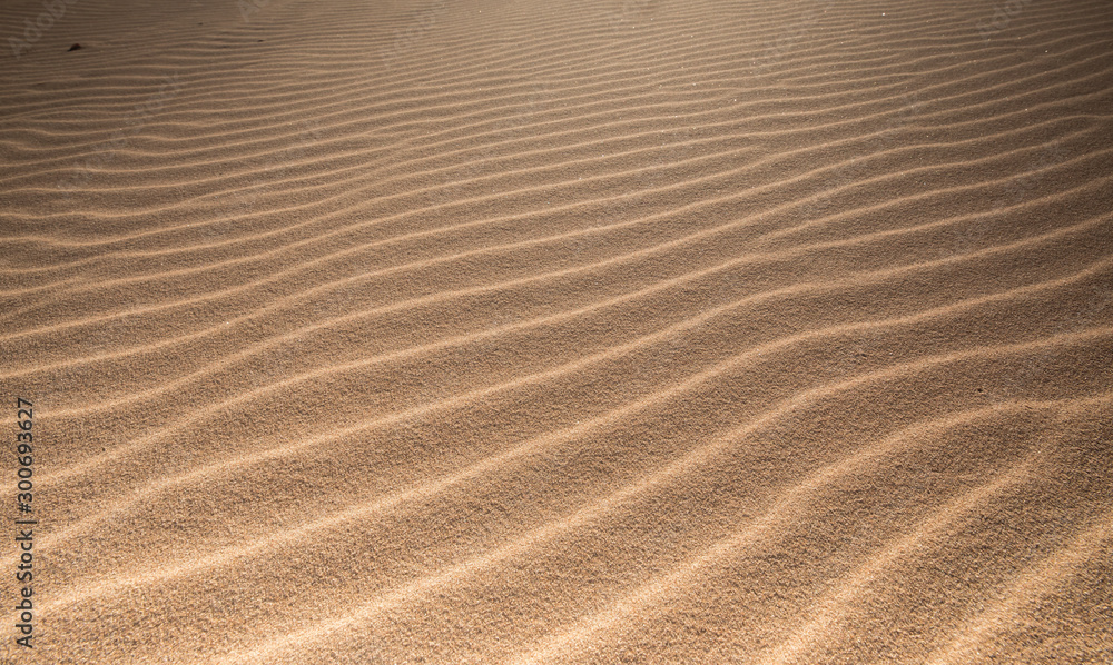 Patterns in the Sand Patterns in the Sand