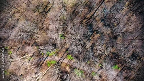 Montreal/Canada     aerial video from Montreal Olympic Park      taken by drone camera 
