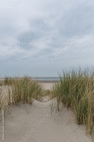 Fototapeta Naklejka Na Ścianę i Meble -   Dünenlandschaft am Strand mit Blick aufs Meer bei bewölkten Himmel