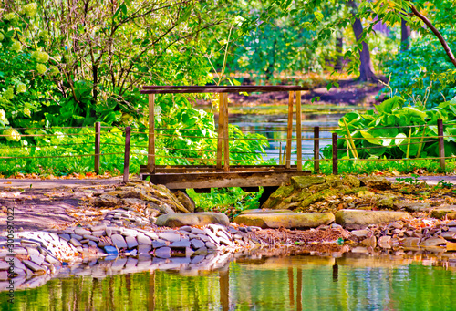 bridge in the Park