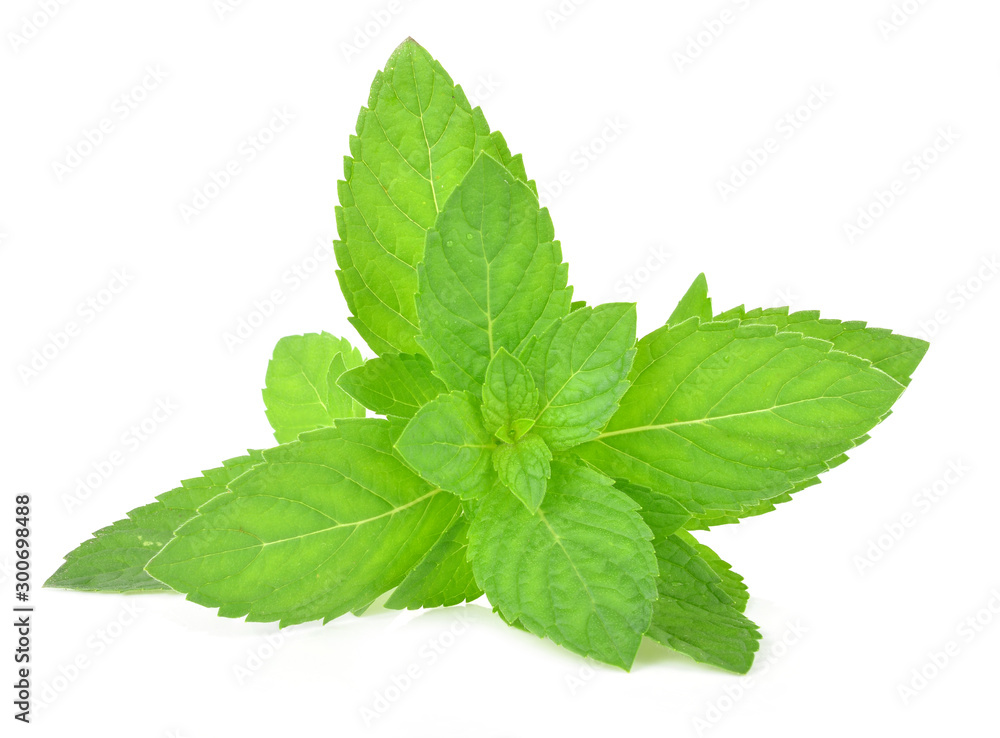 Fresh mint leafs isolated on a white background Fresh mint leafs isolated on a white background