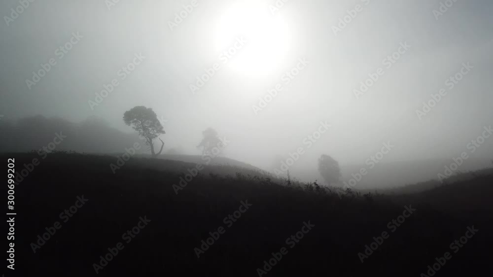 Slow elevated motion to reveal blue skies above mist from atmospheric forest landscape, layers of tree and hills, sun in background mist. Slow elevated motion to reveal blue skies above mist from atmospheric forest landscape, layers of tree and hills, sun in background mist.