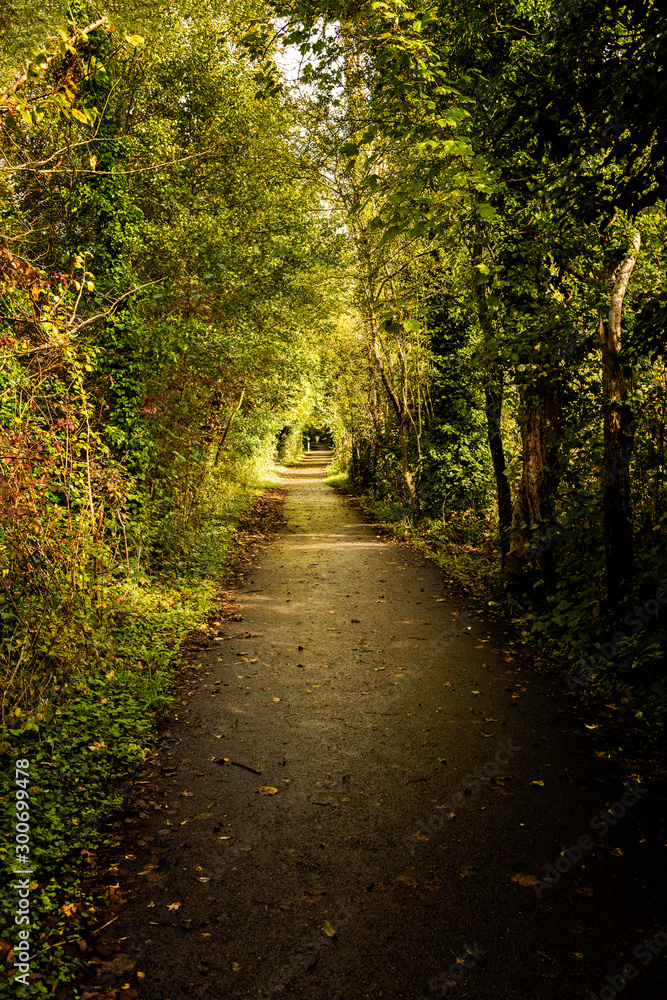 Obraz premium The towpath along the River Medway near Maidstone in Kent, taken in Autumn