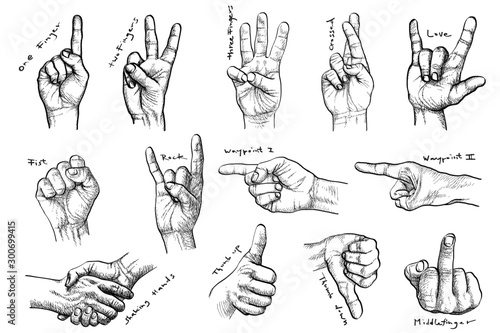 basic Hand gestures, hand-drawn Hands symbolising: one, two, three, crossed, love, fist, waypoint, thumb up, shaking hands, middle finger, and rock'n'roll in retro style, vintage art