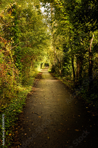 The towpath along the River Medway near Maidstone in Kent, taken in Autumn