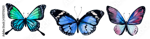 Butterfly watercolor, clipart butterflies photo