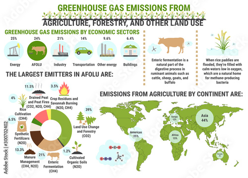 Infographic of global greenhouse gas emissions by agriculture, forestry and other land use sector