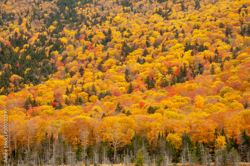 Vermont Mountain Landscape in Autumn