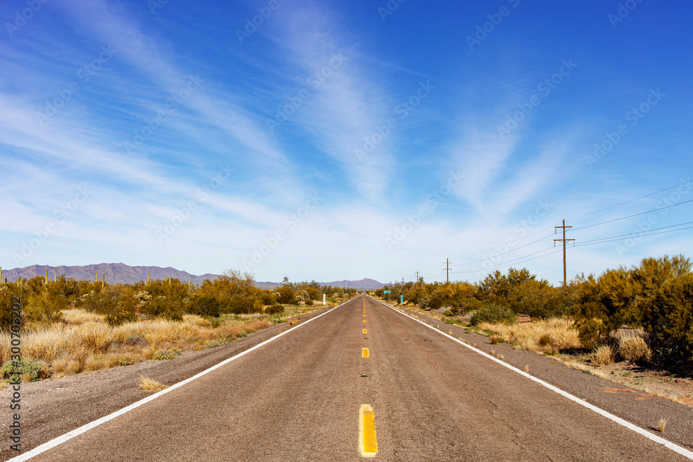 Fototapeta premium Arizona Highway 86 - the Road to Ajo