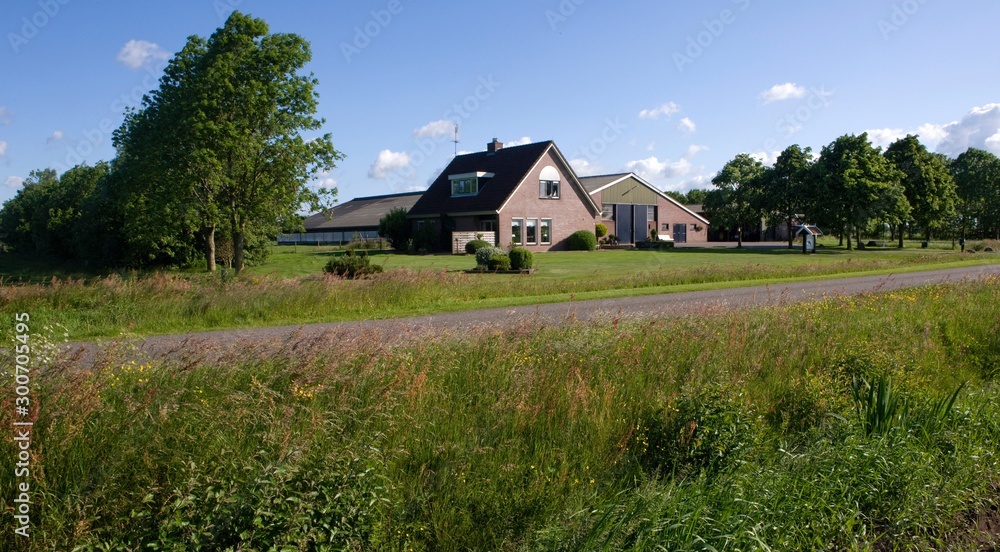 Modern Dutch farm in landscape. Netherlands. Cattle stable