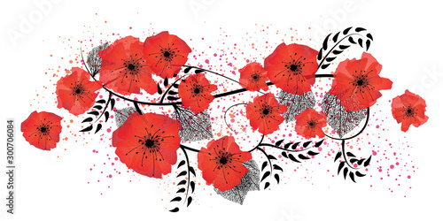 Watercolor poppies illustration