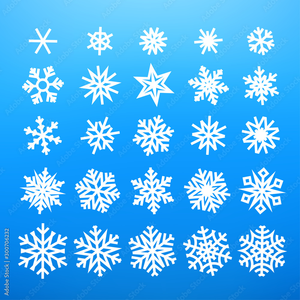 Winter white snowflakes vector illustration Winter white snowflakes vector illustration