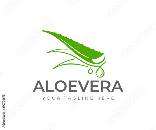 Aloe vera plant logo design. Herbaceous plant and drop vector design. Aloe vera gel logotype