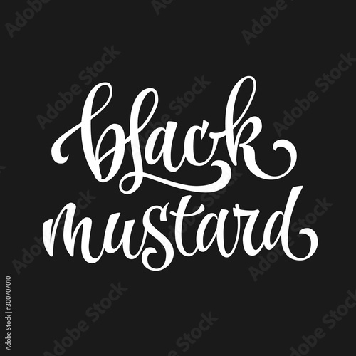 Vector hand drawn calligraphy style lettering word - Black mustard. White colored isolated design. Isolated script spice text label.