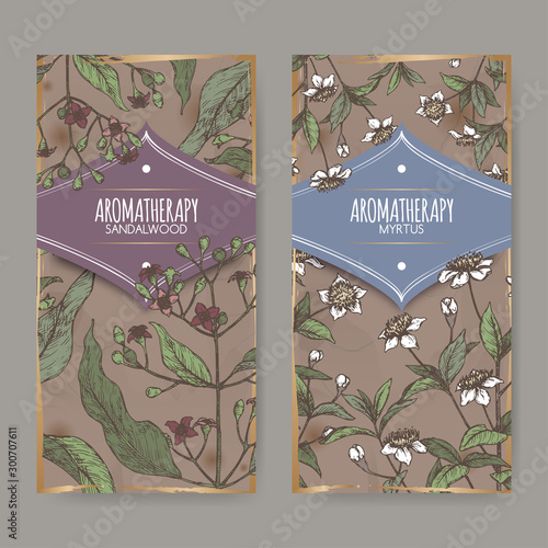 Two labels with Common myrtle aka Myrtus communis and Indian sandalwood aka Santalum album color sketch.
