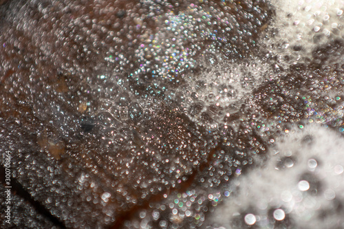 Macro bubbles of boiling water at the end of a log in the fire.
