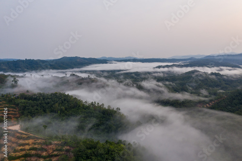 Aerial drone image of beautiful tropical rainforest forest in Sabah Borneo (image slightly soft focus and noise)