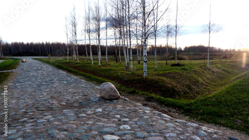 railway in the forest