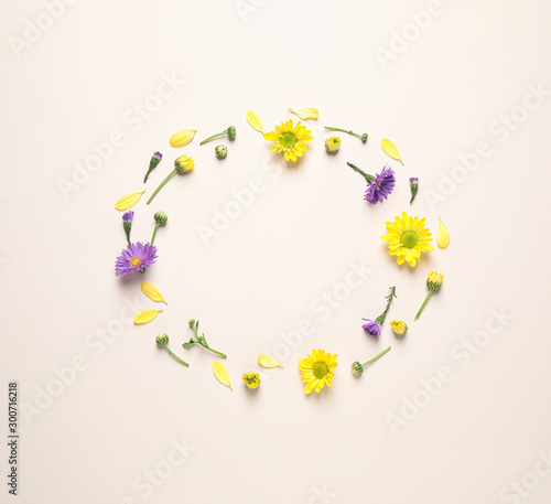 Frame made of beautiful chamomile flowers on beige background  flat lay. Space for text