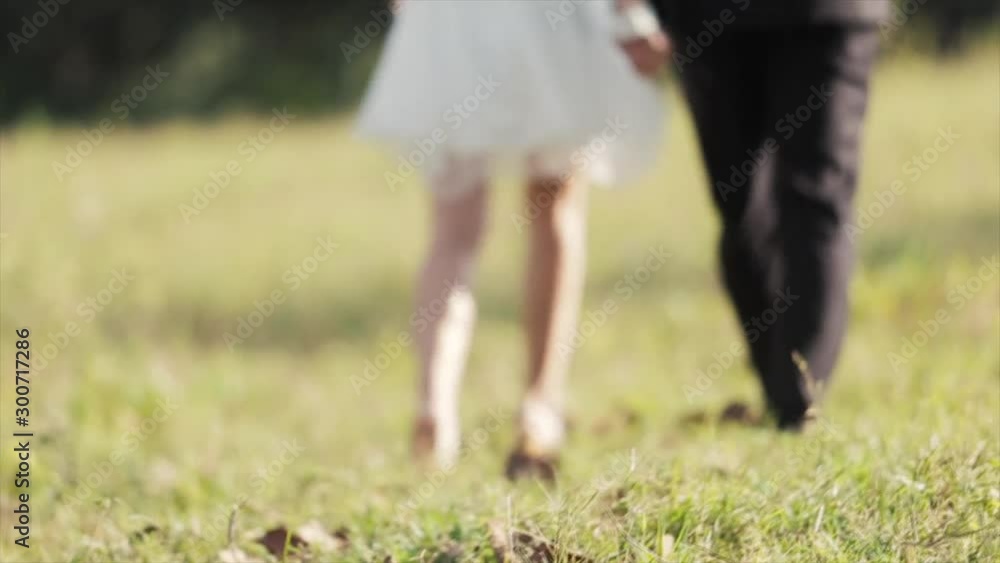 Lovers walk and shake hands on the grass Lovers walk and shake hands on the grass