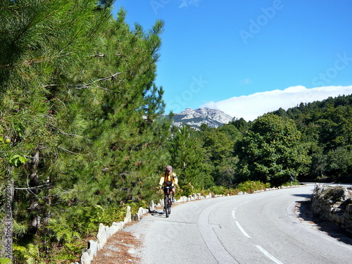 Corsica-cyclist near pass Col de Vergio photo