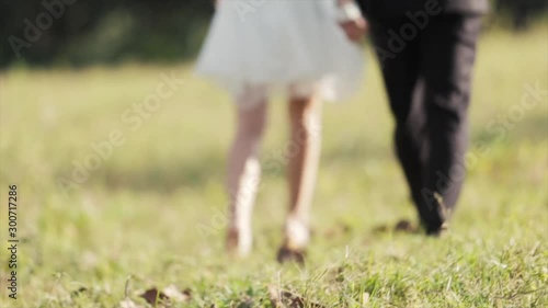 Lovers walk and shake hands on the grass