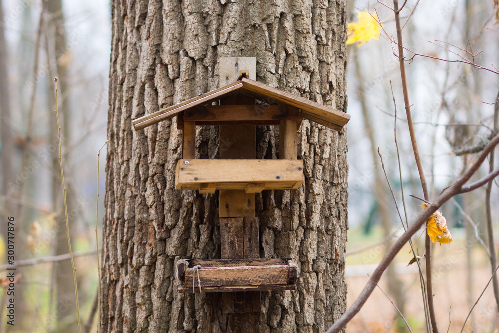 Wooden bird house on tree in autumn forest Wooden bird house on tree in autumn forest