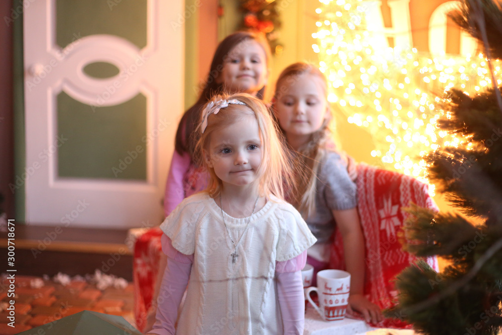 Fototapeta premium two girls in the background and one in front in the Christmas decorations smiling