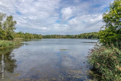 View from lake lauer and cospudener lake with wild nature in leipzig   Germany