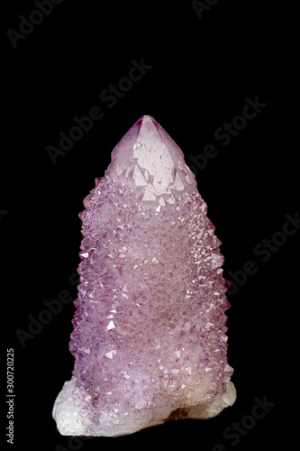 macro mineral stone amethyst cactus on a black background