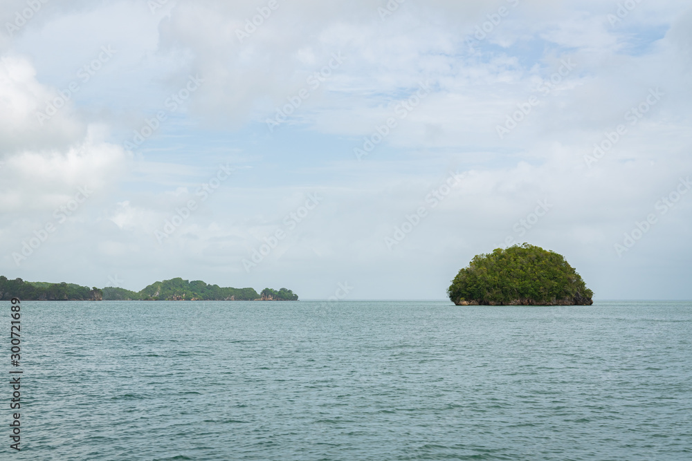 Small islet Los Haitises National Park Dominican republic