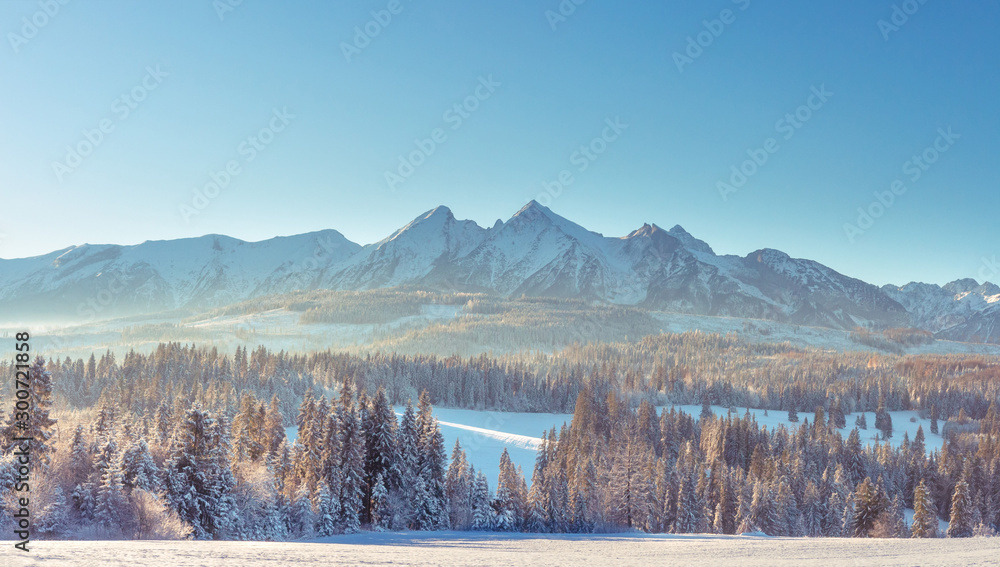 Tatra mountains in winter season, Zakopane, Poland. Snowy mountain range on clear sunny day - obrazy, fototapety, plakaty 