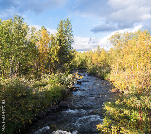 River stream in Sarek national park in Sweden Lapland with birch and spruce tree forest. Early autumn colors, blue sky white clouds.