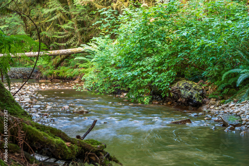 Majestic mountain river in Vancouver  Canada.