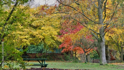 English Park in Autumn 