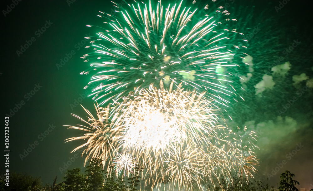 Obraz premium Fireworks on the City Day in Voronezh