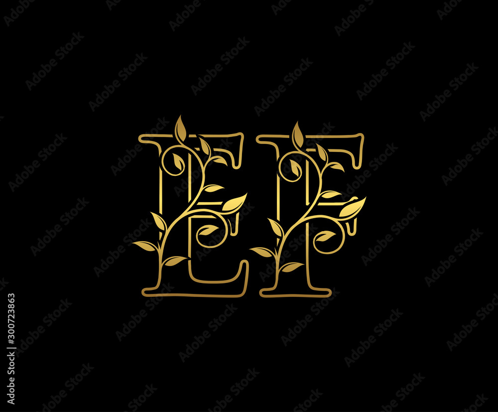 Golden letter E and F, EF vintage decorative ornament emblem badge, overlapping monogram logo, elegant luxury gold color on black background.