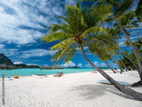BORA BORA, FRENCH POLYNESIA - SEPTEMBER 7, 2018 - Sandy beach, coconut tree and Otemanu mountain at Bora Bora island, Tahiti, French Polynesia