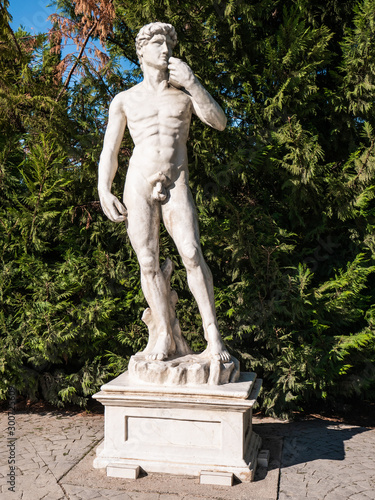 Replica of David by Miguel Angel, in the Europa park of Torrejon de Ardoz, with a nice background of vegetation photo