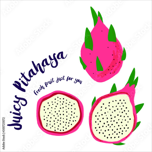 Juicy Pitahaya. Fresh fruit drawn by hand. Vector illustration