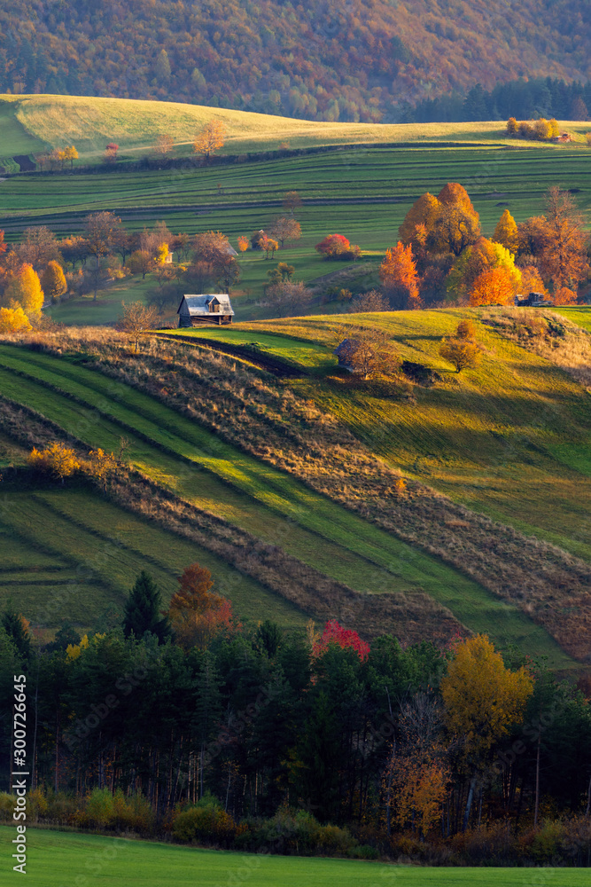 Fall in Slovakia. Meadows and fields landscape near Strelniky. Autumn colored trees at sunrise