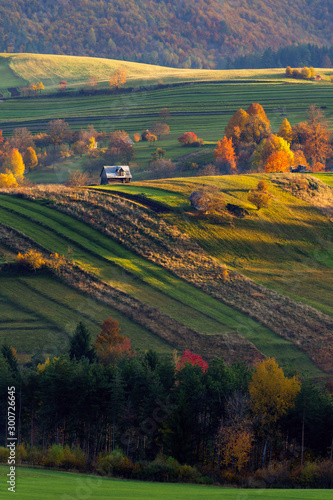 Fall in Slovakia. Meadows and fields landscape near Strelniky. Autumn colored trees at sunrise